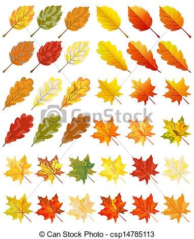 381x470 pics for gt autumn leaves drawings applique ideas fall leaves - Autumn Leaves Drawing
