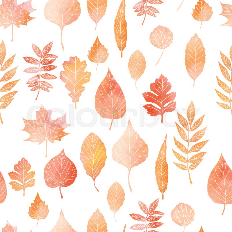 800x800 seamless pattern with autumn leaves stock vector colourbox - Autumn Leaves Drawing