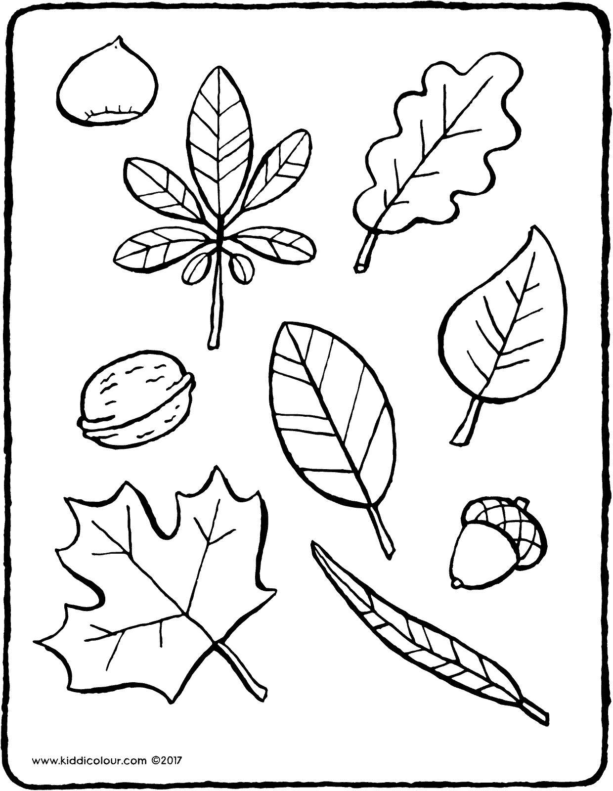 1240x1600 autumn leaves - Autumn Leaves Drawing