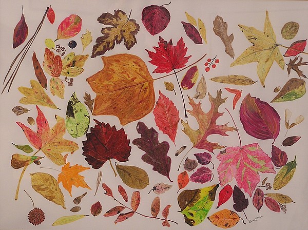 600x448 autumn leaves drawing - Autumn Leaves Drawing