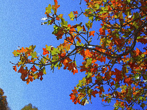 300x225 Fall Scenery Drawings Fine Art America - Autumn Scenery Drawing