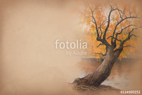 500x334 autumn tree drawing stock photo and royalty free images - Autumn Tree Drawing