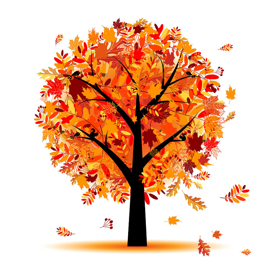 900x900 Beautiful Autumn Tree Drawing - Autumn Tree Drawing