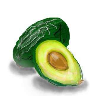 304x325 Avocado Drawings - Avocado Drawing
