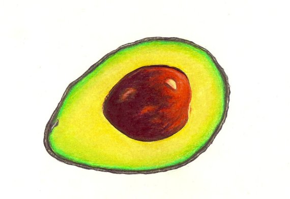 570x392 avocado print digital print of a drawing available etsy - Avocado Drawing