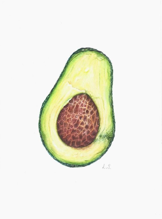570x769 Avocado Colored Pencils Drawing Original Painting Fruit Art Etsy - Avocado Drawing