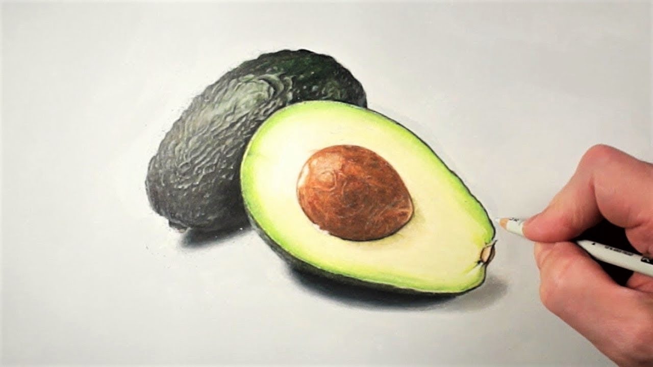 1280x720 drawing a ripe avocado speed drawing - Avocado Drawing