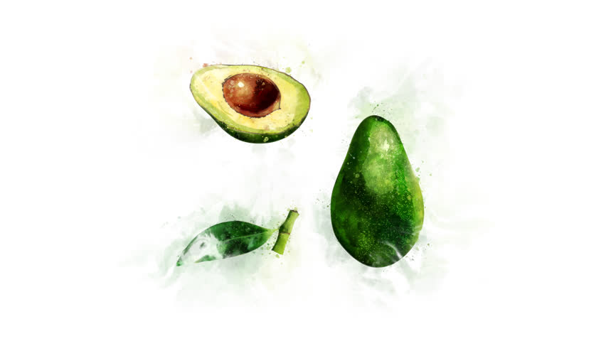 852x480 Avocado Drawing Stock Video Footage - Avocado Drawing