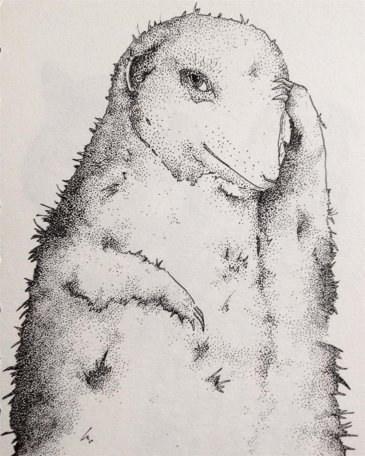 1200x1500 hermione hammond drawing award - Award Drawing