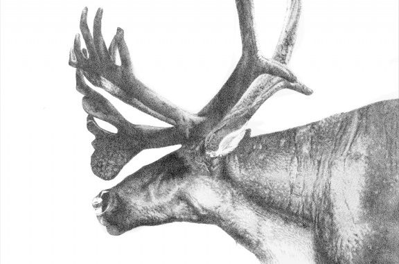 576x381 drawing awareness the temple news - Awareness Drawing