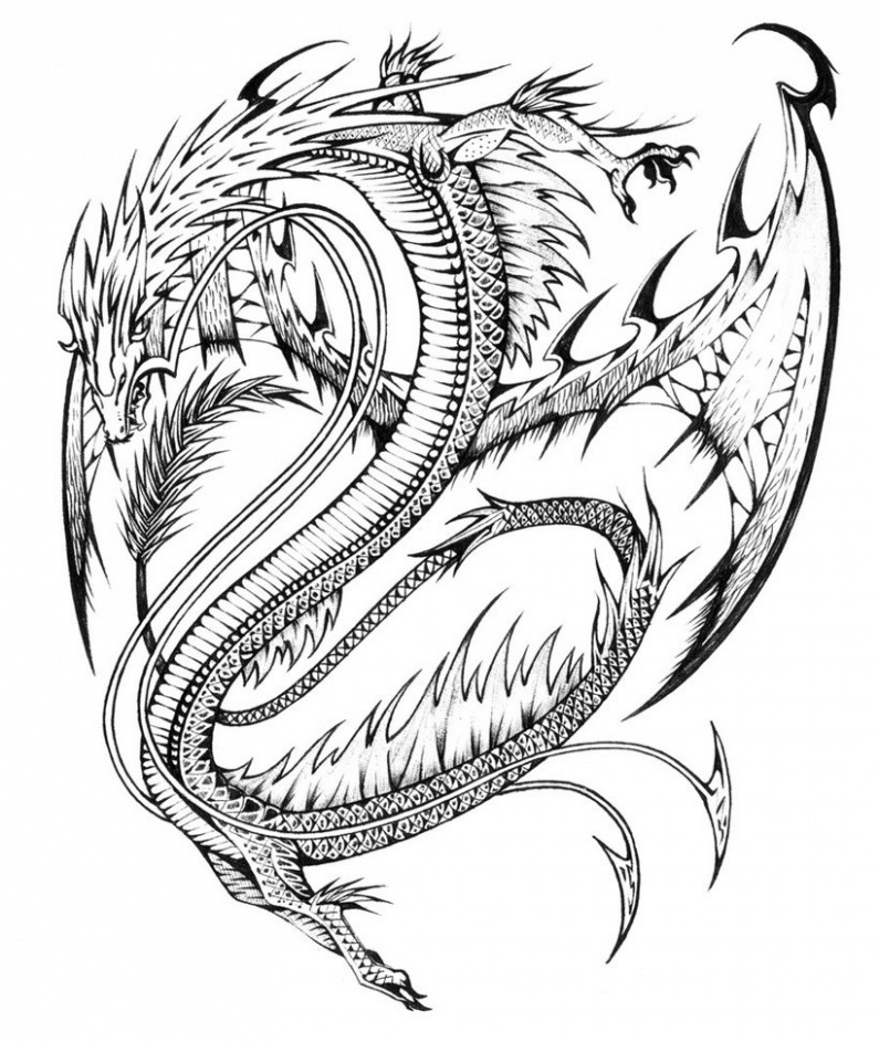 795x944 awesome dragon drawing - Awesome Dragon Drawings