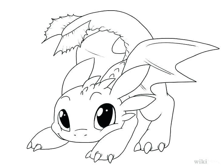 736x552 Easy Dragon Drawing Step - Awesome Dragon Drawings