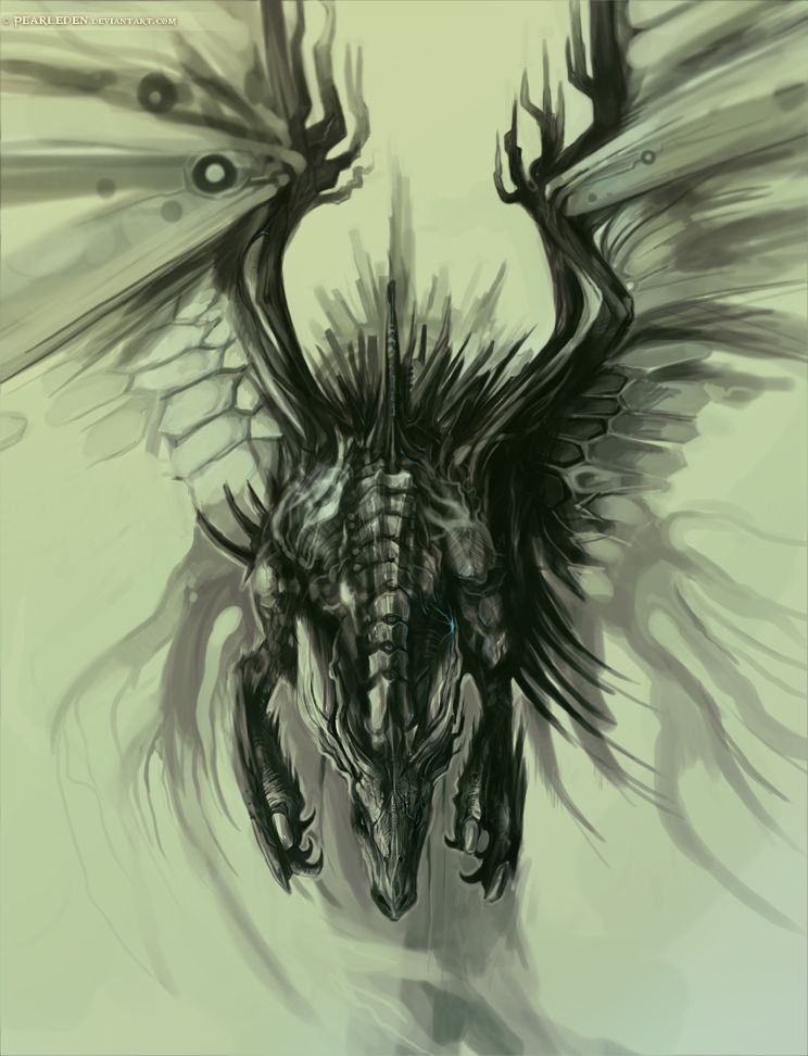744x972 awesome dragon drawings dragons dragon, shadow dragon - Awesome Dragon Drawings