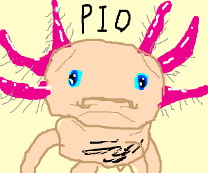 300x250 Axolotl Drawing - Axolotl Drawing