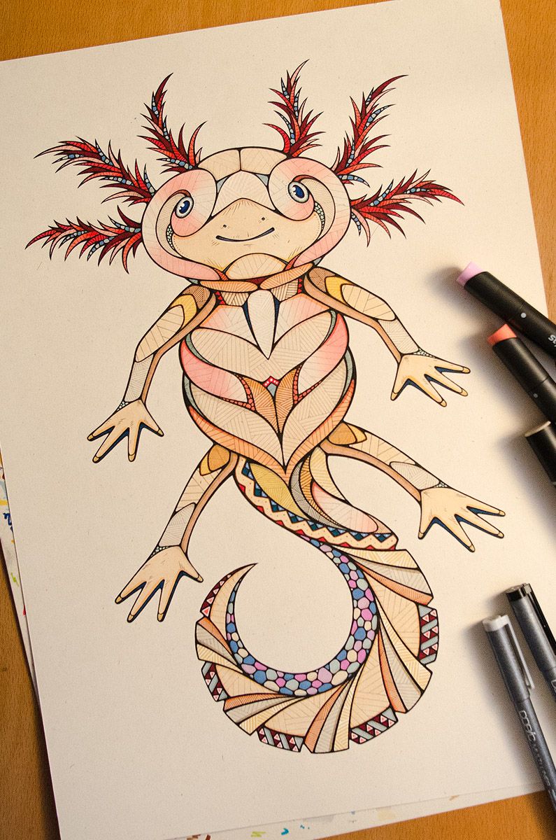 795x1200 Axolotl Drawing - Axolotl Drawing