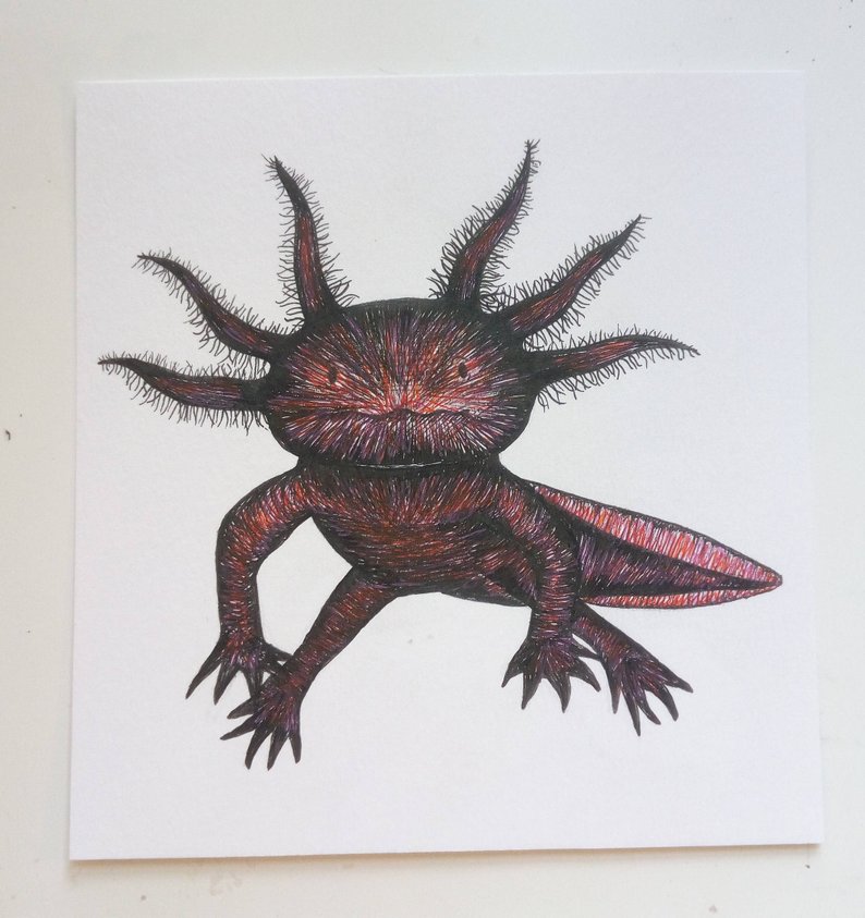 794x843 Axolotl Original Drawing Etsy - Axolotl Drawing