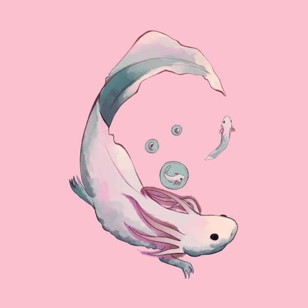 630x630 Axolotl Evolution - Axolotl Drawing