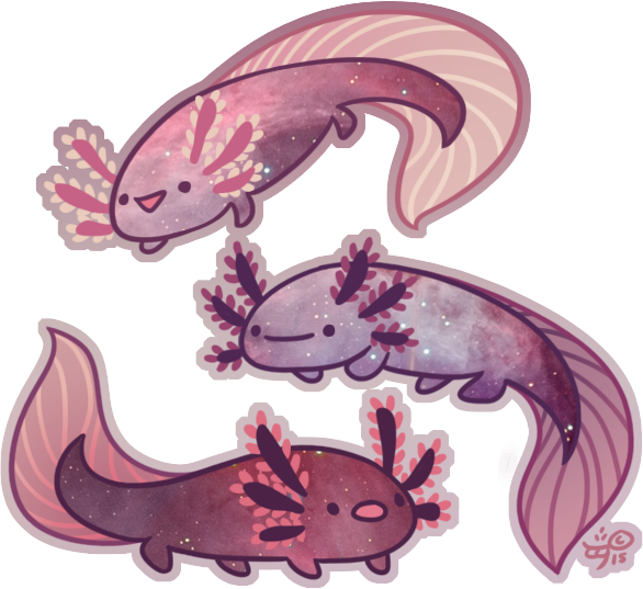 586x537 Space Axolotl - Axolotl Drawing
