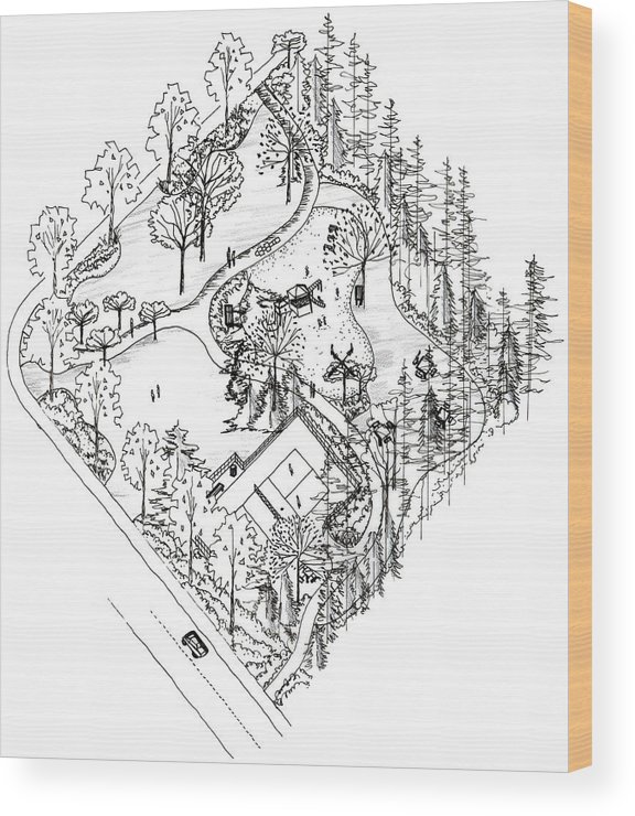 576x740 city park axonometric drawing wood print - Axonometric Drawing
