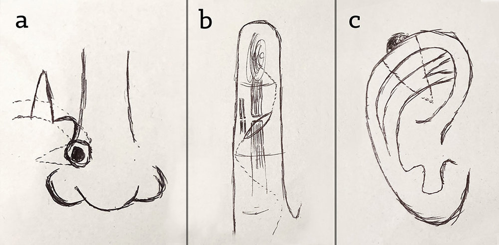 1000x492 is drawing a valuable skill for surgeons i asked artibiotics - B Drawing