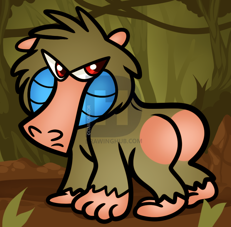 786x770 How To Draw A Baboon For Kids, Step - Baboon Drawing