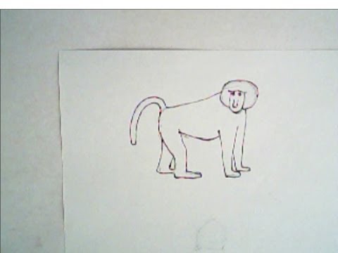 480x360 How To Draw A Baboon - Baboon Drawing