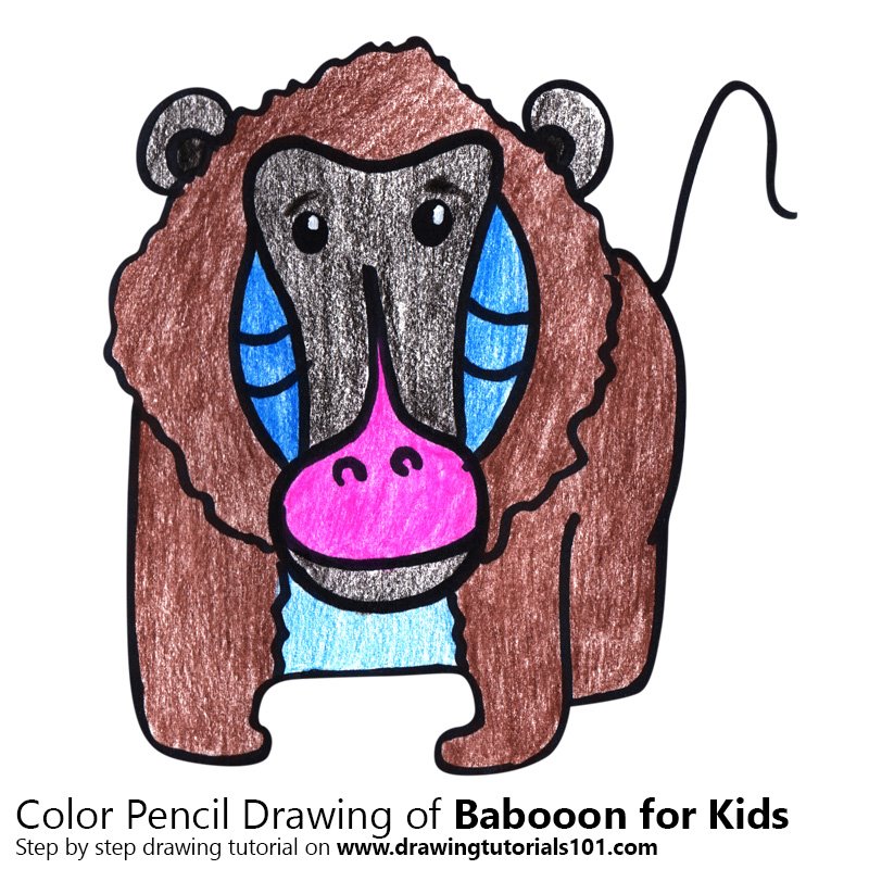 800x800 Step - Baboon Drawing