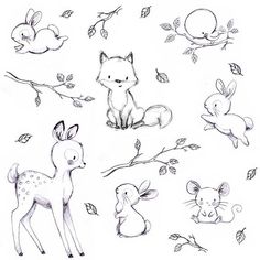 236x236 baby animal illustrations - Baby Animal Drawings