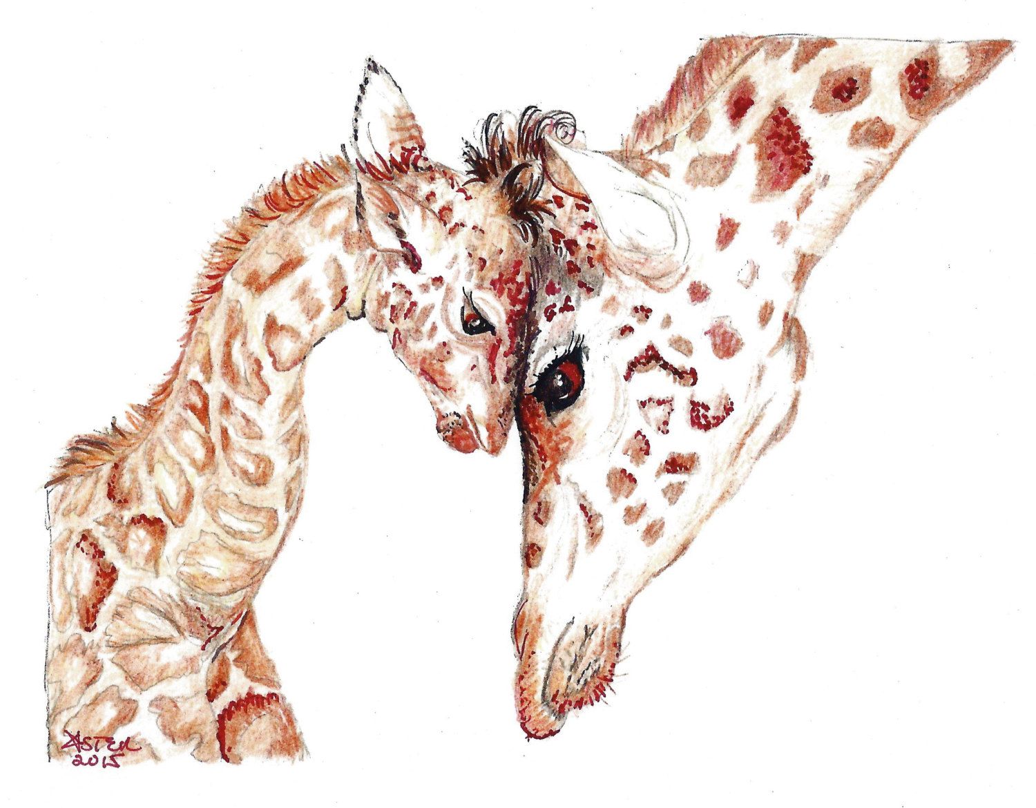 Baby Animal Drawings At Paintingvalley Com Explore Collection Of Baby Animal Drawings