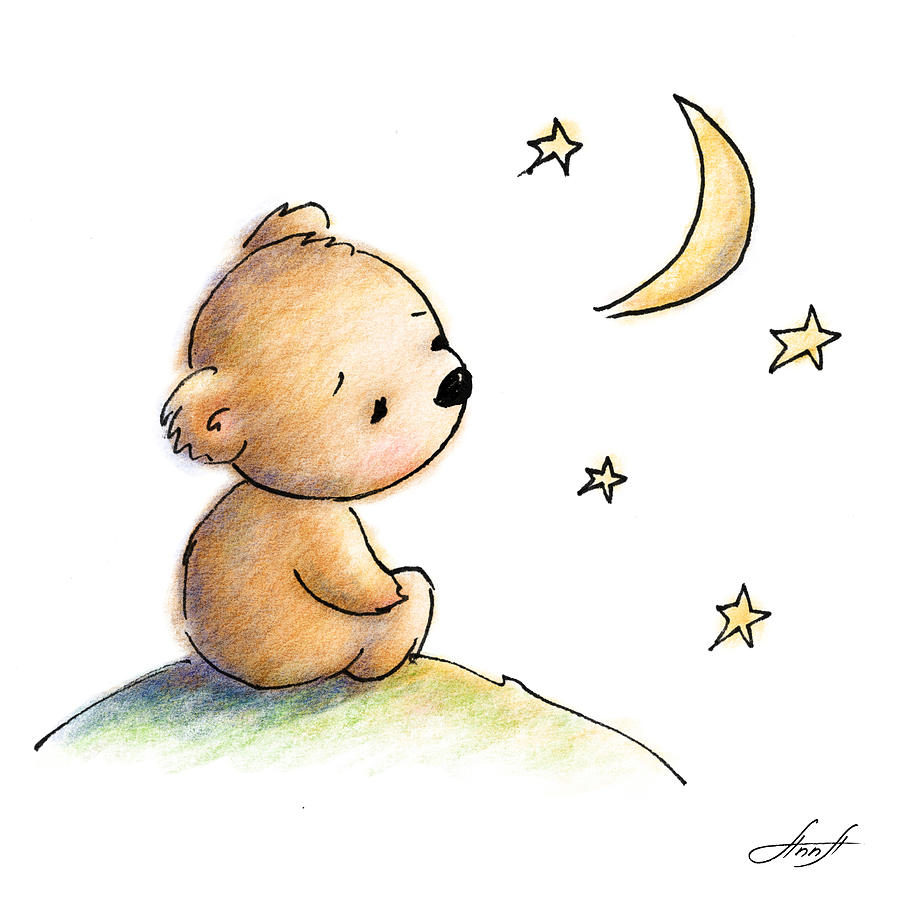 899x900 Drawing Of Cute Teddy Bear Watching The Star Digital Art - Baby Bear Drawing