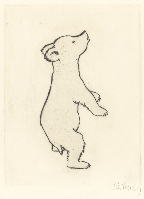 560x774 Standing Baby Bear - Baby Bear Drawing