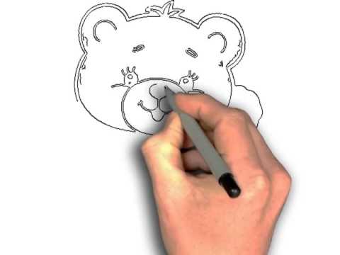 480x360 How To Draw Cute Baby Bear - Baby Bear Drawing