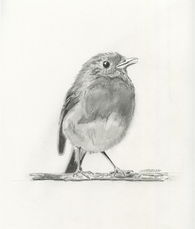 Baby Bird Drawing at PaintingValley.com | Explore collection of Baby ...