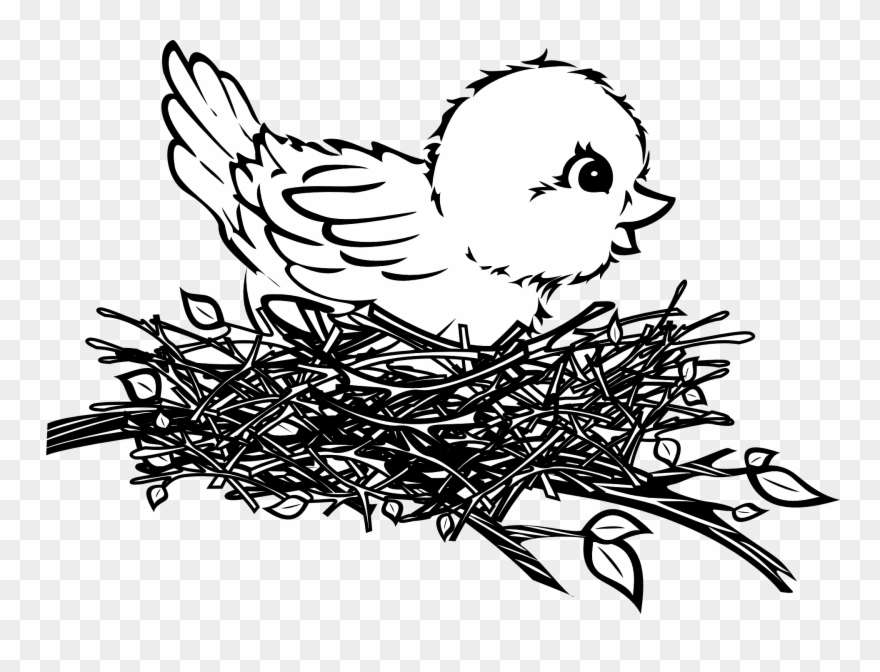 880x672 Bird In A Nest Art - Baby Bird Drawing