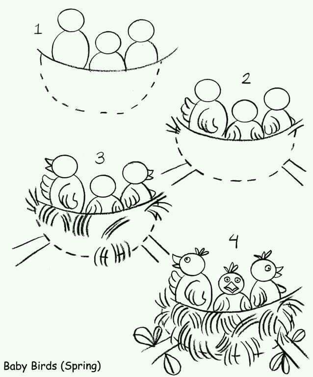 638x770 How To Draw Baby Bird How To Draw Drawings, Bird Drawings - Baby Bird Drawing