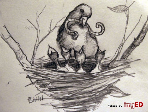 500x378 original mother bird feeding baby bird drawing sketch doodle art - Baby Bird Drawing