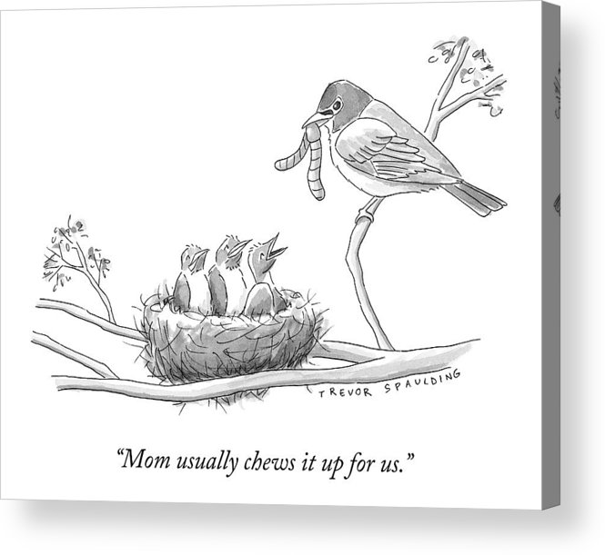 665x611 Three Baby Birds In A Nest Talk To A Grown Bird Acrylic Print - Baby Bird Drawing