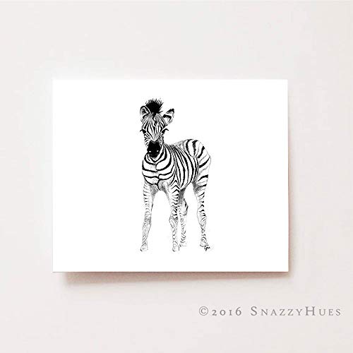 500x500 baby boy nursery wall art, baby zebra - Baby Boy Drawing