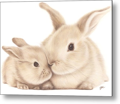 493x431 Mother And Baby Bunny Metal Print - Baby Bunny Drawing