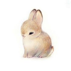 236x236 Wallpaper Super Cute Kawaii Pet Love Dwarf Bunny Rabbit A R T - Baby Bunny Drawing