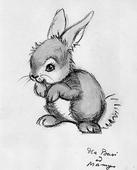 284x351 Bunny Drawing - Baby Bunny Drawing