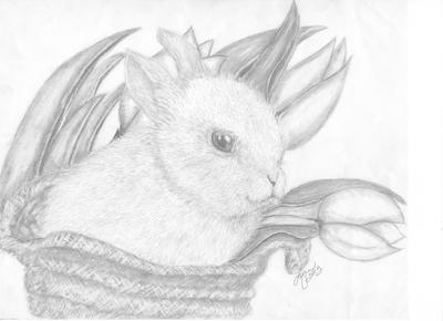 400x290 Baby Bunny - Baby Bunny Drawing