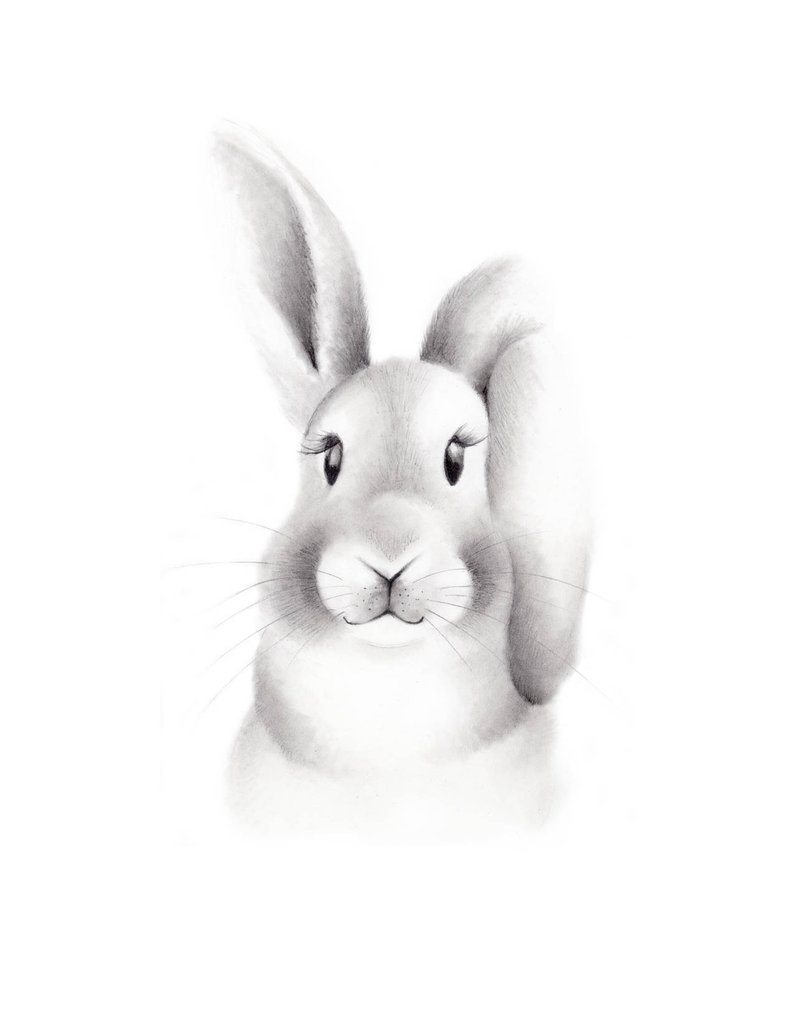 794x1028 Bunny Nursery Art Pencil Drawing Baby Animal Face Woodland Etsy - Baby Bunny Drawing