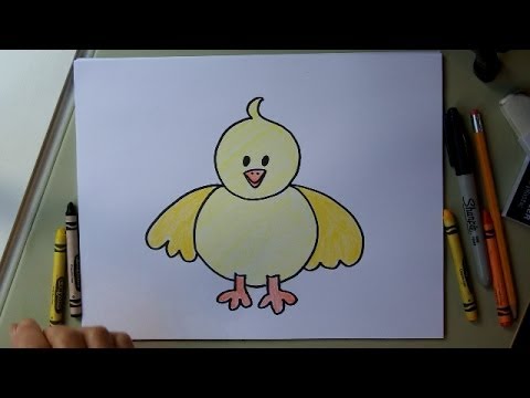 480x360 how to draw a baby chick step - Baby Chick Drawing
