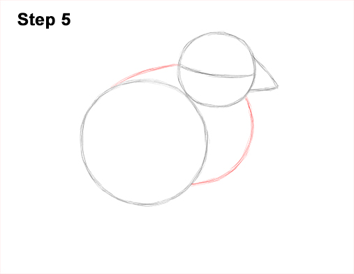 507x392 how to draw a baby chick - Baby Chick Drawing