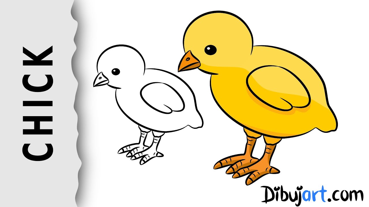 1280x720 how to draw a baby chick wie zeichnet man ein - Baby Chick Drawing