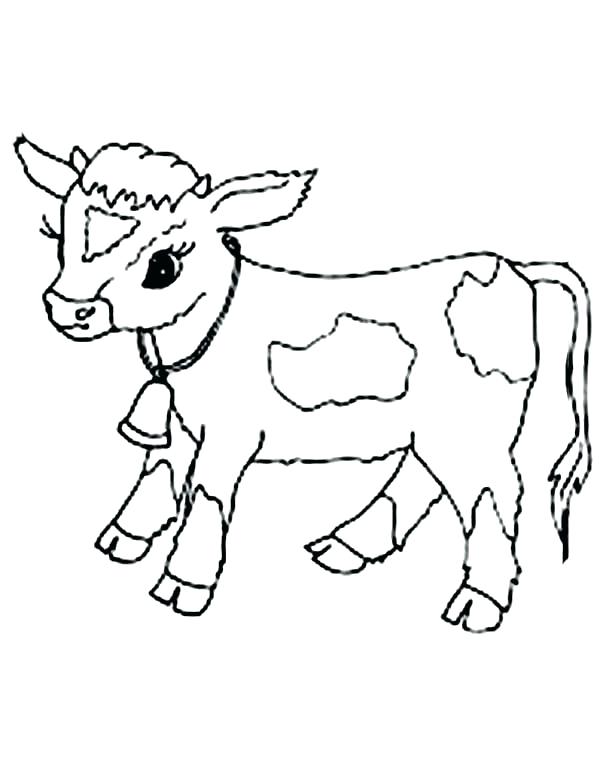 600x777 Cow Printable Coloring Pages Coloring - Baby Cow Drawing