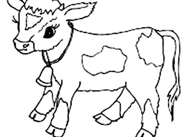 Baby Cow Drawing At Paintingvalley.com 