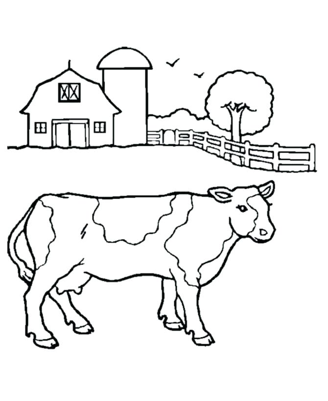 670x820 Baby Cow Drawing - Baby Cow Drawing