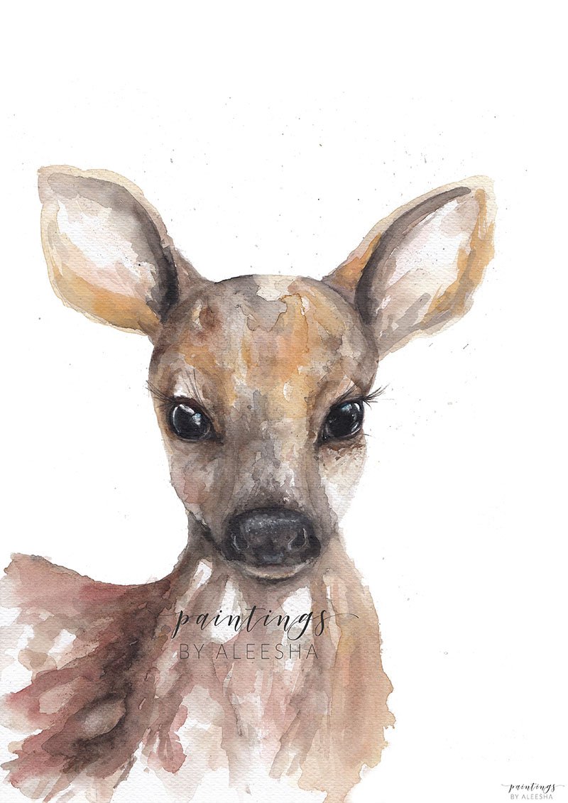 800x1131 Belle The Baby Deer Paintings - Baby Deer Drawing